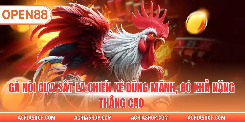 Gà nòi cựa sắt là chiến kê dũng mãnh, có khả năng thắng cao